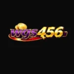 WGS456 Game