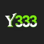 Y333 Game